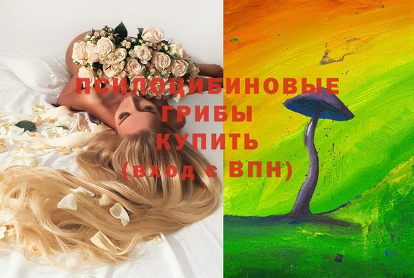 дмт Горно-Алтайск