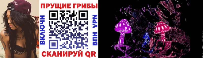 Псилоцибиновые грибы Psilocybe  Купить  Калачинск 